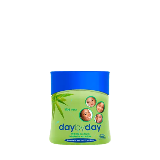 DAY BY DAY POMADE 100ML