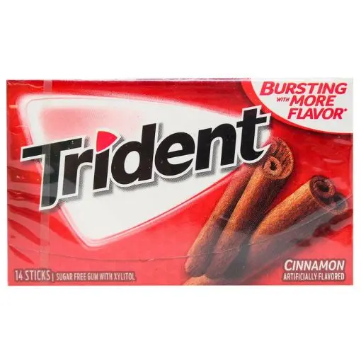 TRIDENT CINNAMON GUM