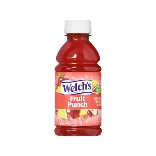 WELCH'S FRUIT PUNCH JUICE 295ML